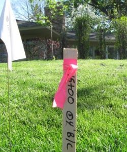 stake-pink-flag